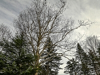 Parc national du Mont-Mégantic - Secteur de Franceville